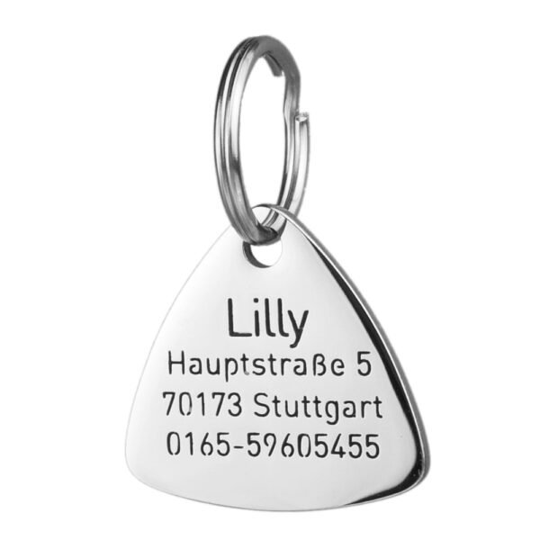 Dreieckige Hundemarke aus Edelstahl mit Gravur für Hunde
